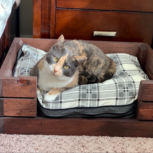 ✨Something here for everyone! ✨ - Picture 6 of 6